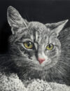 Photo of Judy Lavoie Photo of Judy Lavoie